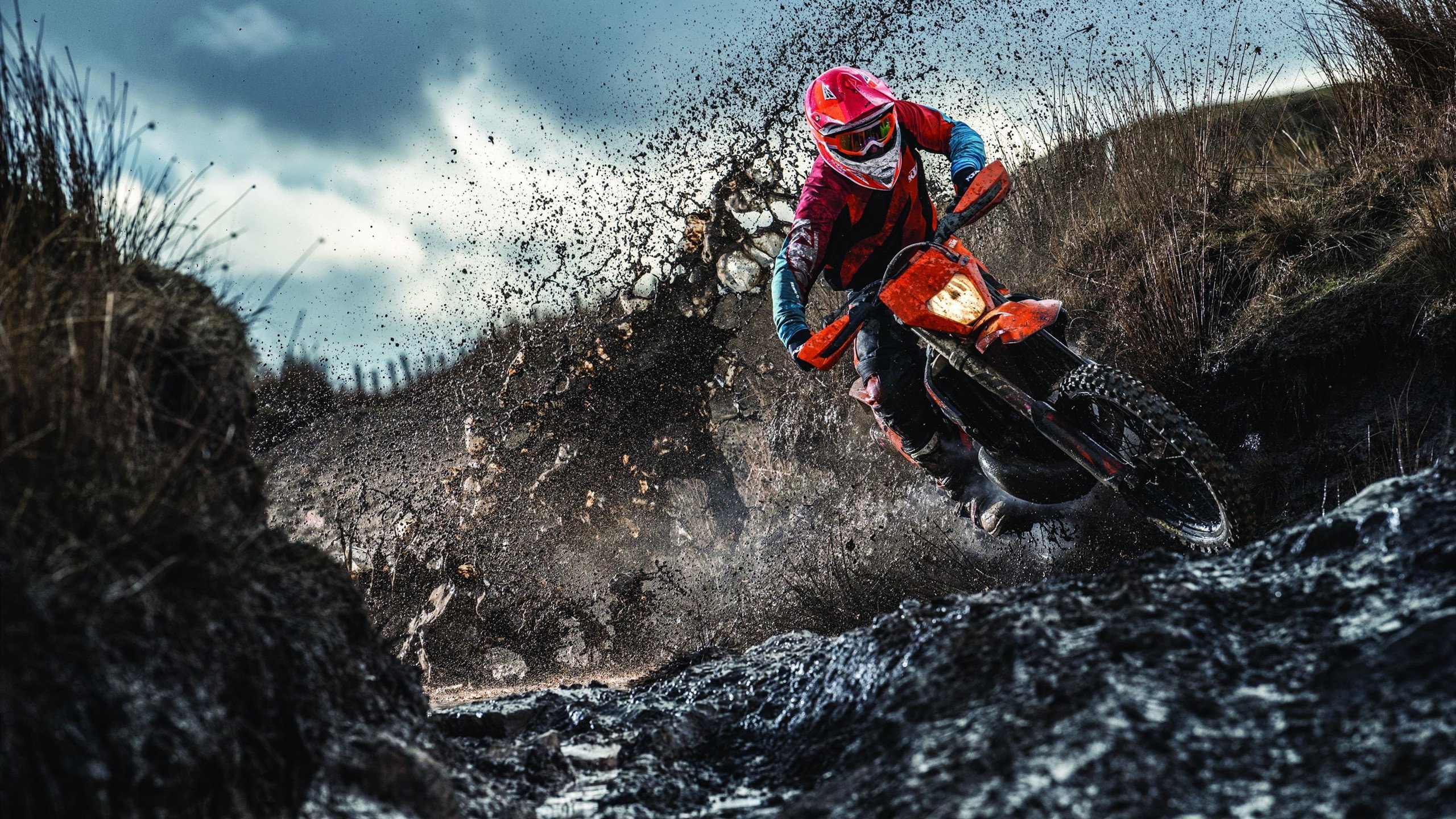 高校专业课程升级，高校专业课程设置