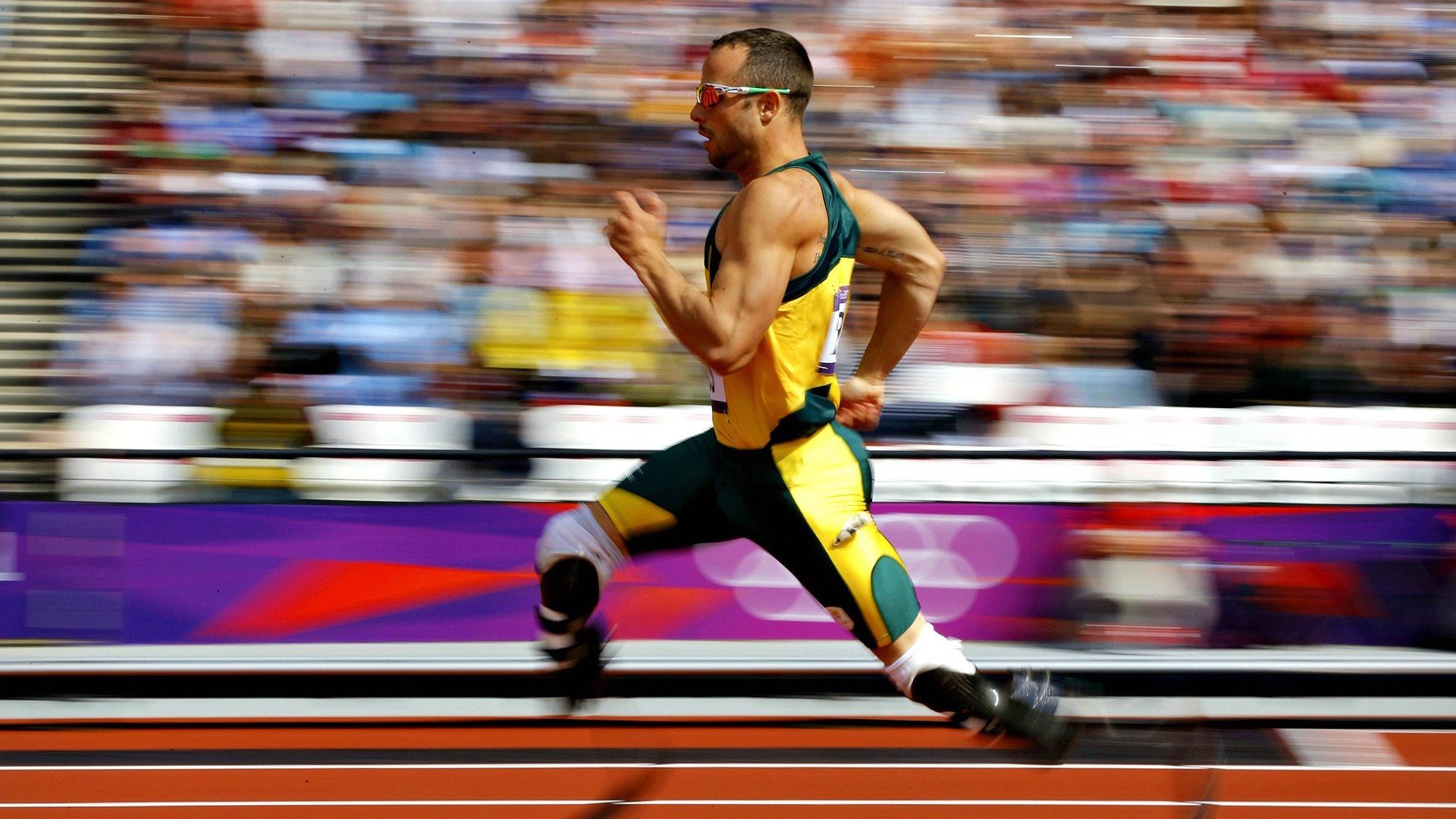 “东桃花岛赛场：缆绳滑水展现飞翔与技巧的完美结合”